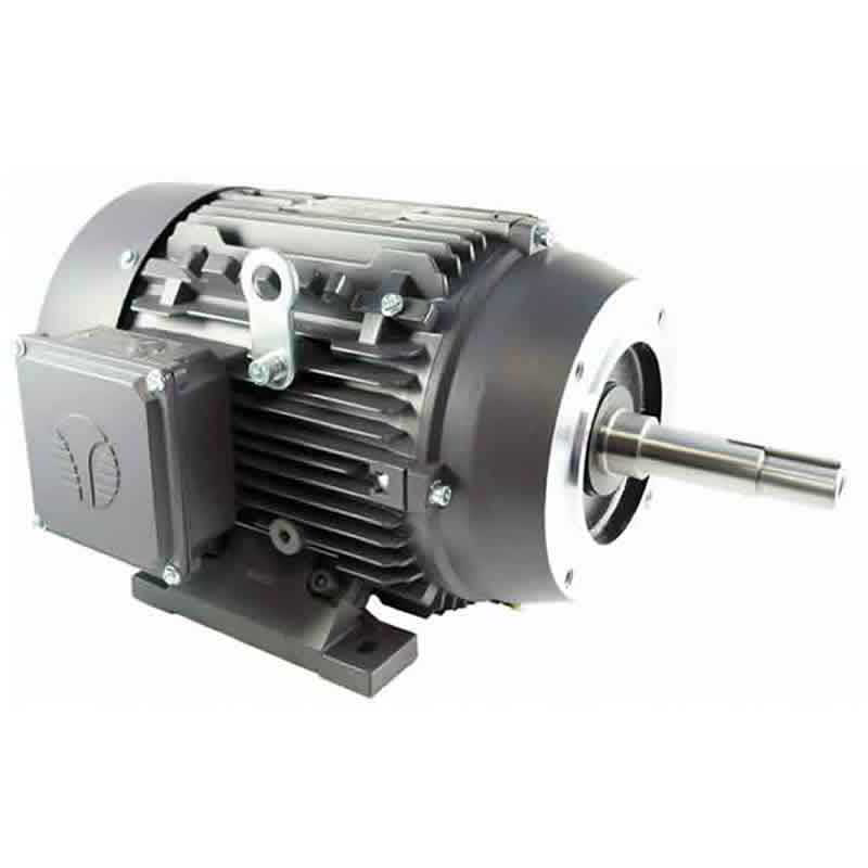 10 HP Metric IEC Electric Motor Frame 132S RPM 3600 Phoenix